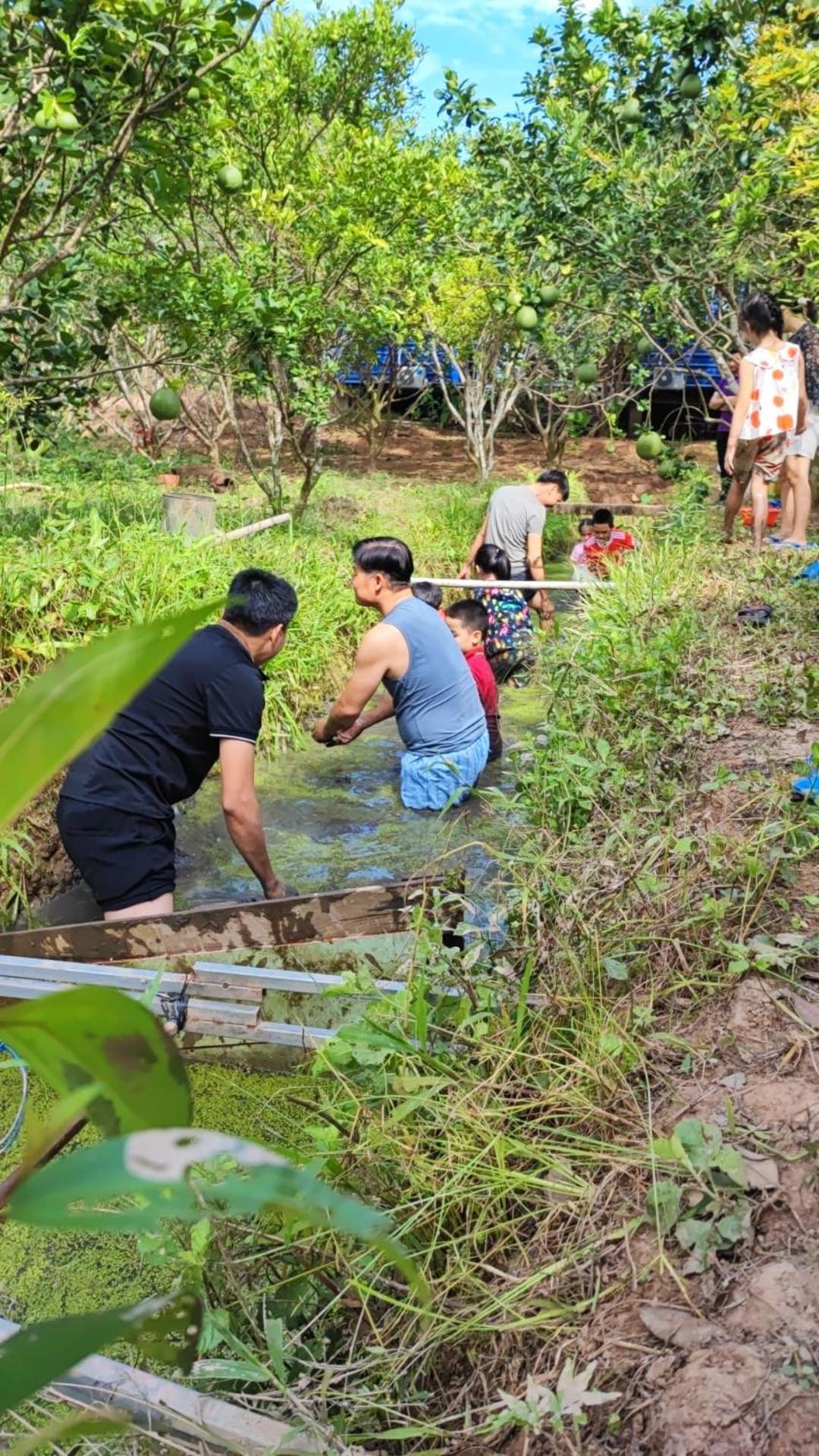 Con Phung Resort Mekong - Nature Escape With Free Boat Shuttle & Fishing Ben Tre Экстерьер фото